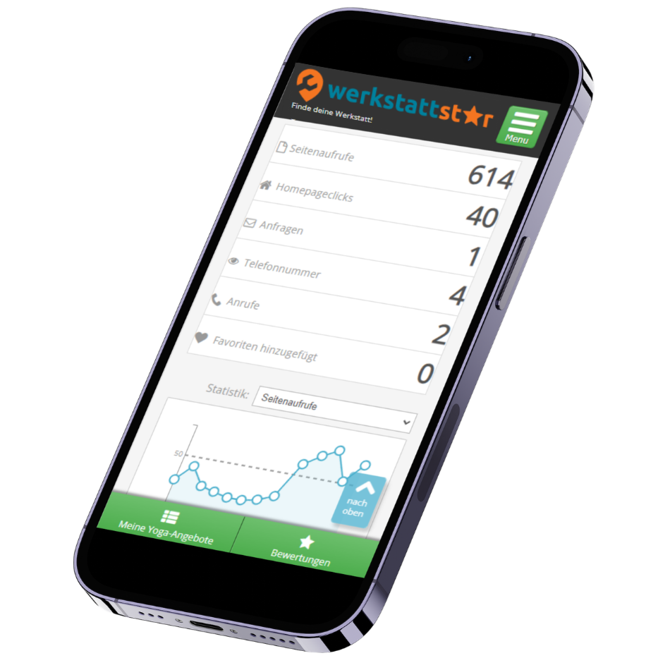 Werkstatt Premium Statistiken